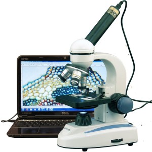 Microscope for Kids