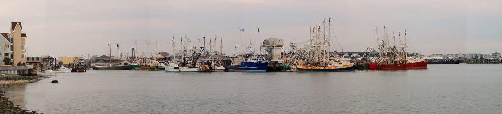 cape-may-new-jersey-small-beach-town-east-coast