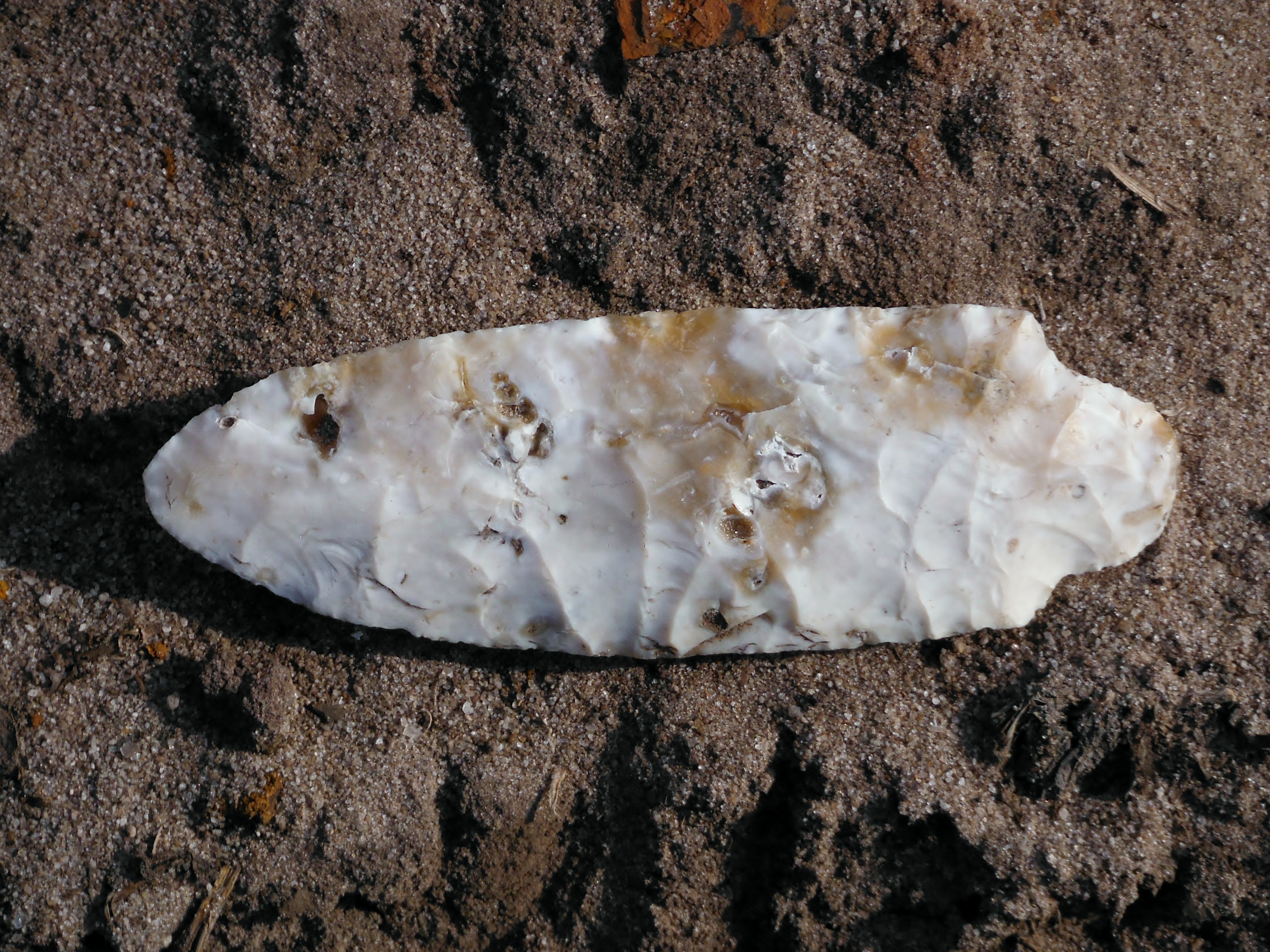 Page-Ladson Prehistory Site fossil sites