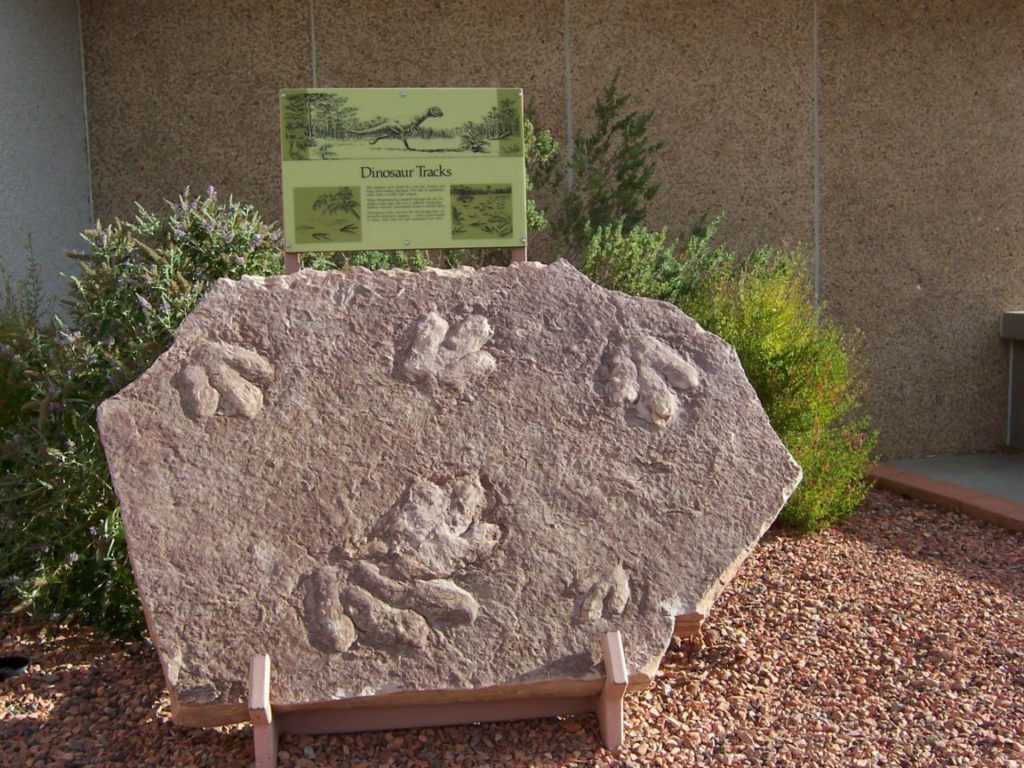 30 Most Impressive Fossil Sites in North America - Top Value Reviews