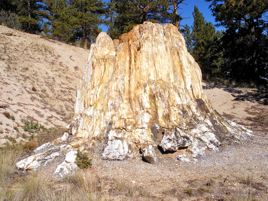 Florissant Fossil Beds fossil sites