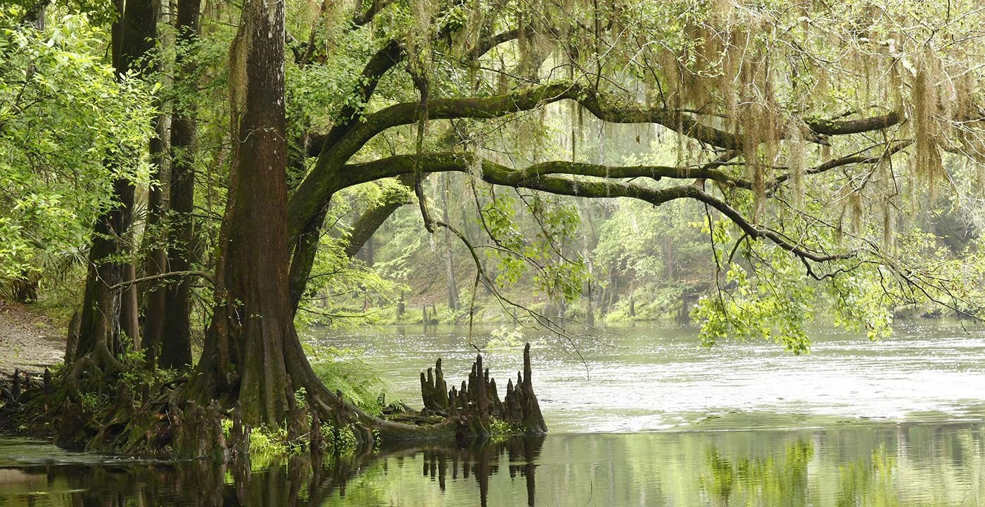 Everglades NP ecoreserves