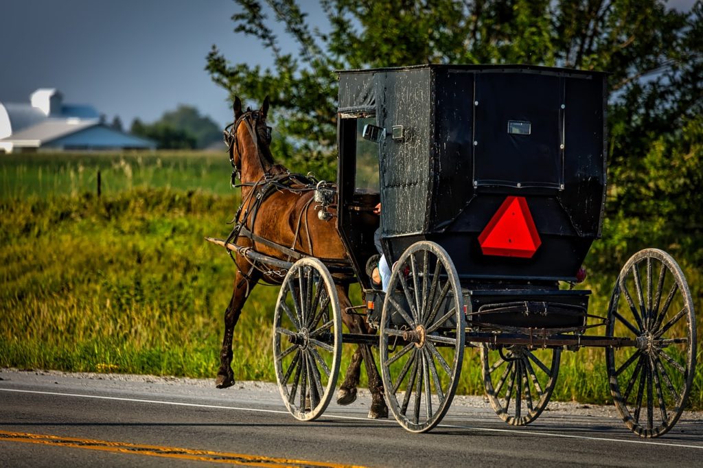 Amish