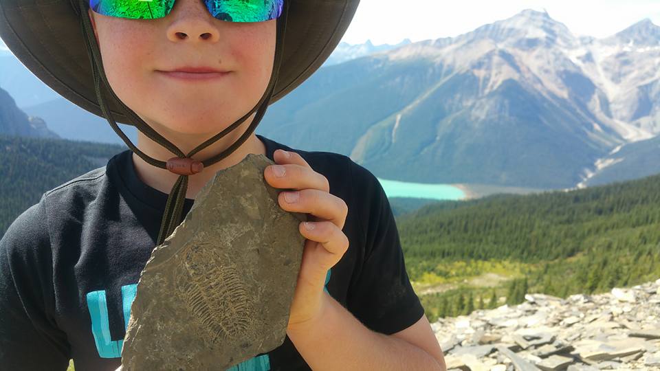 Burgess Shale Trilobite Fossil